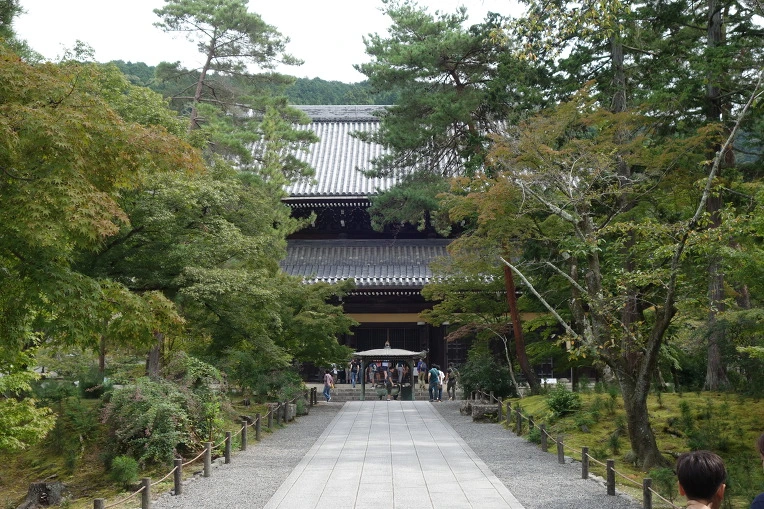 9964C73359D4DEA309F143