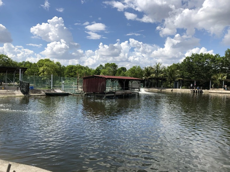 99E438405C636F04041AE8