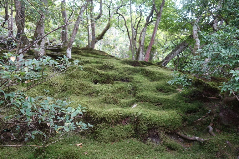 99CF183359D4DFDE053243