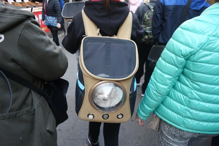 998BBD335AA920E125FB51