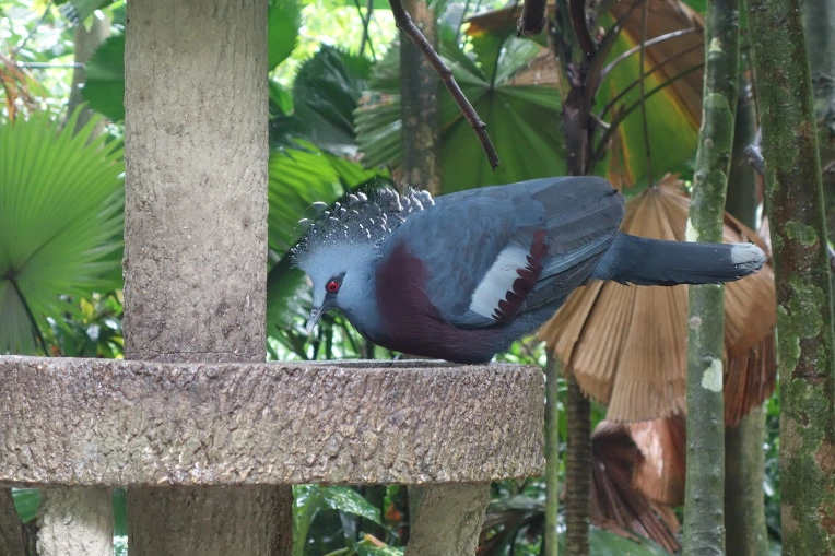 9926A43359A968E114C1A2