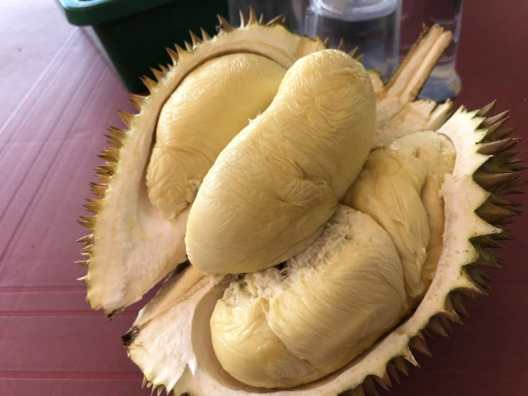 99553E335C64C2B533A6C6