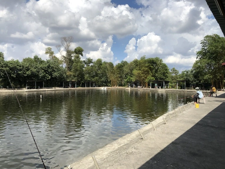 99DA02365C636EE53838B9