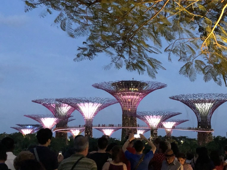 99677E415C660CA2312A3B