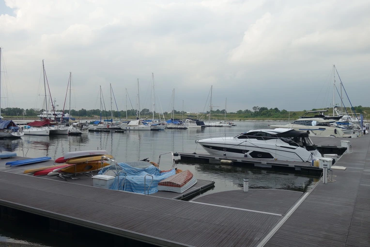 9910EB3359B288F21A7E54