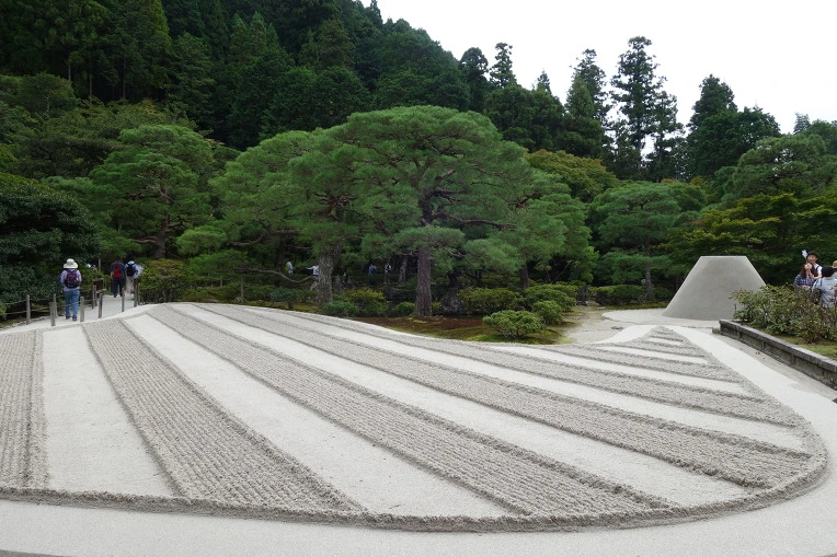 993A313359D4DF960B8CC4