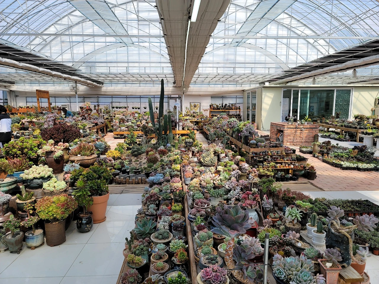 다육농장2.jpeg