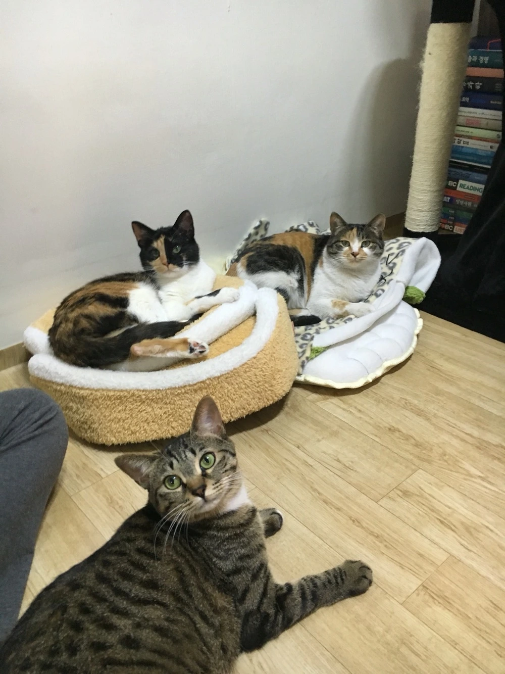 P20160228_195441107_75E354A4-3874-4C9A-8694-509771FEA4B3 (1).JPG