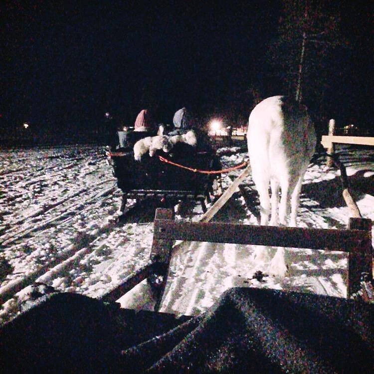 se3_image_3230480808.jpg?type=w773