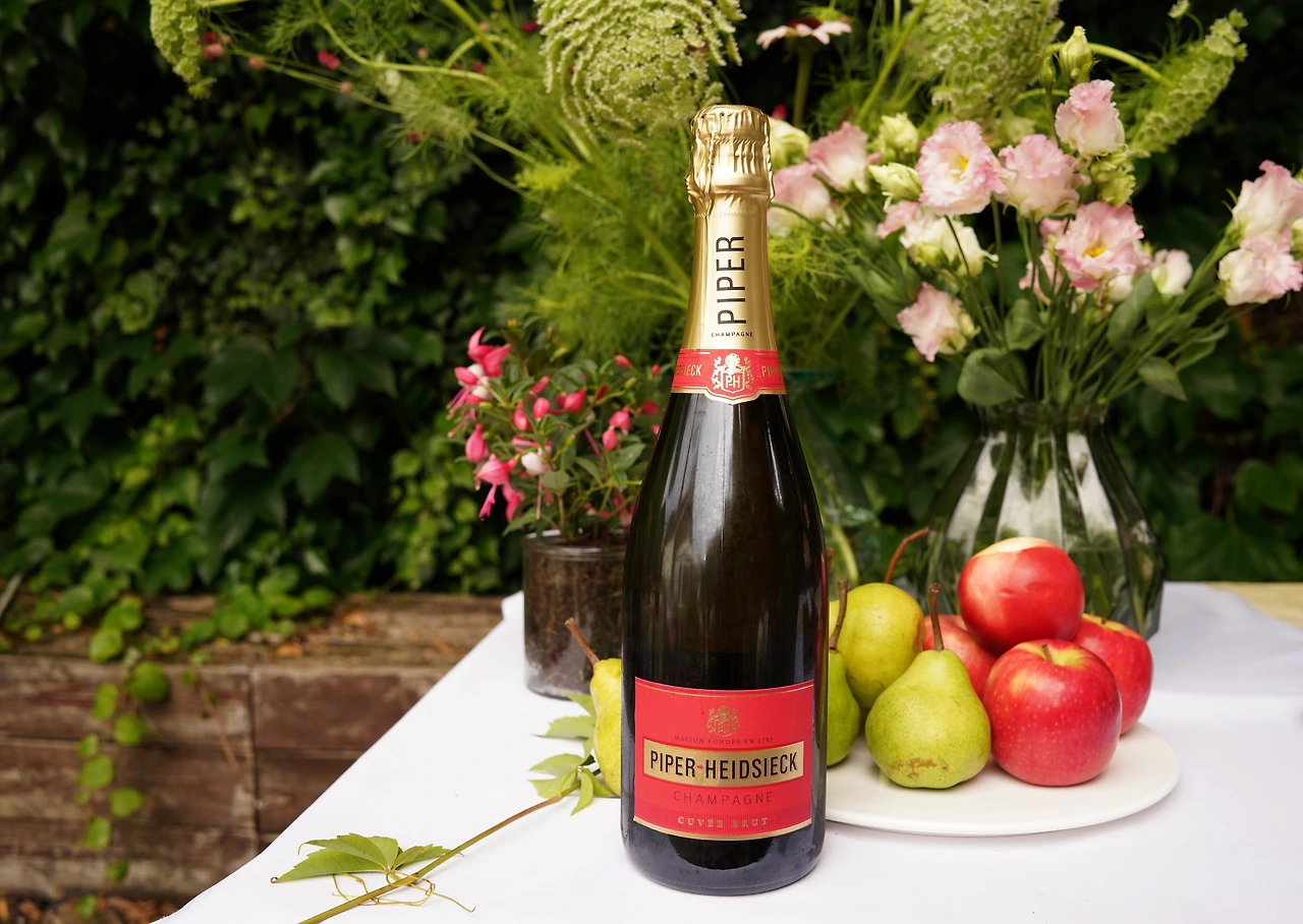 파이퍼하이직 (1).JPG