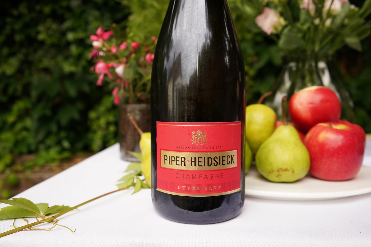 파이퍼하이직 (2).JPG