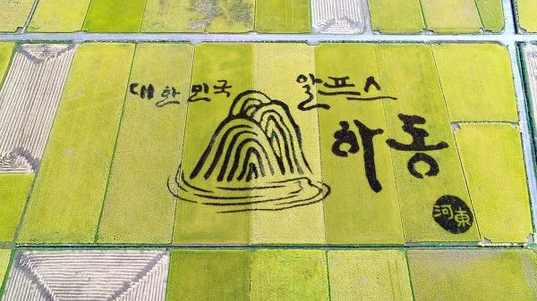 992B1B3359E94DF7144CF5