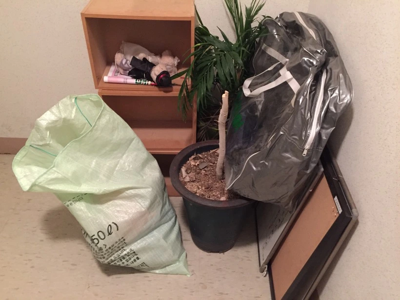 21266A4D590939711F9589