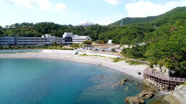 9939DD3359EAD5EA07C8FF