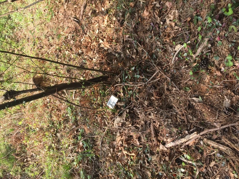 23480E3B5904145C172045