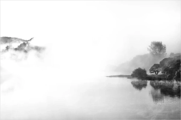 27110138593C65FE27E5E6