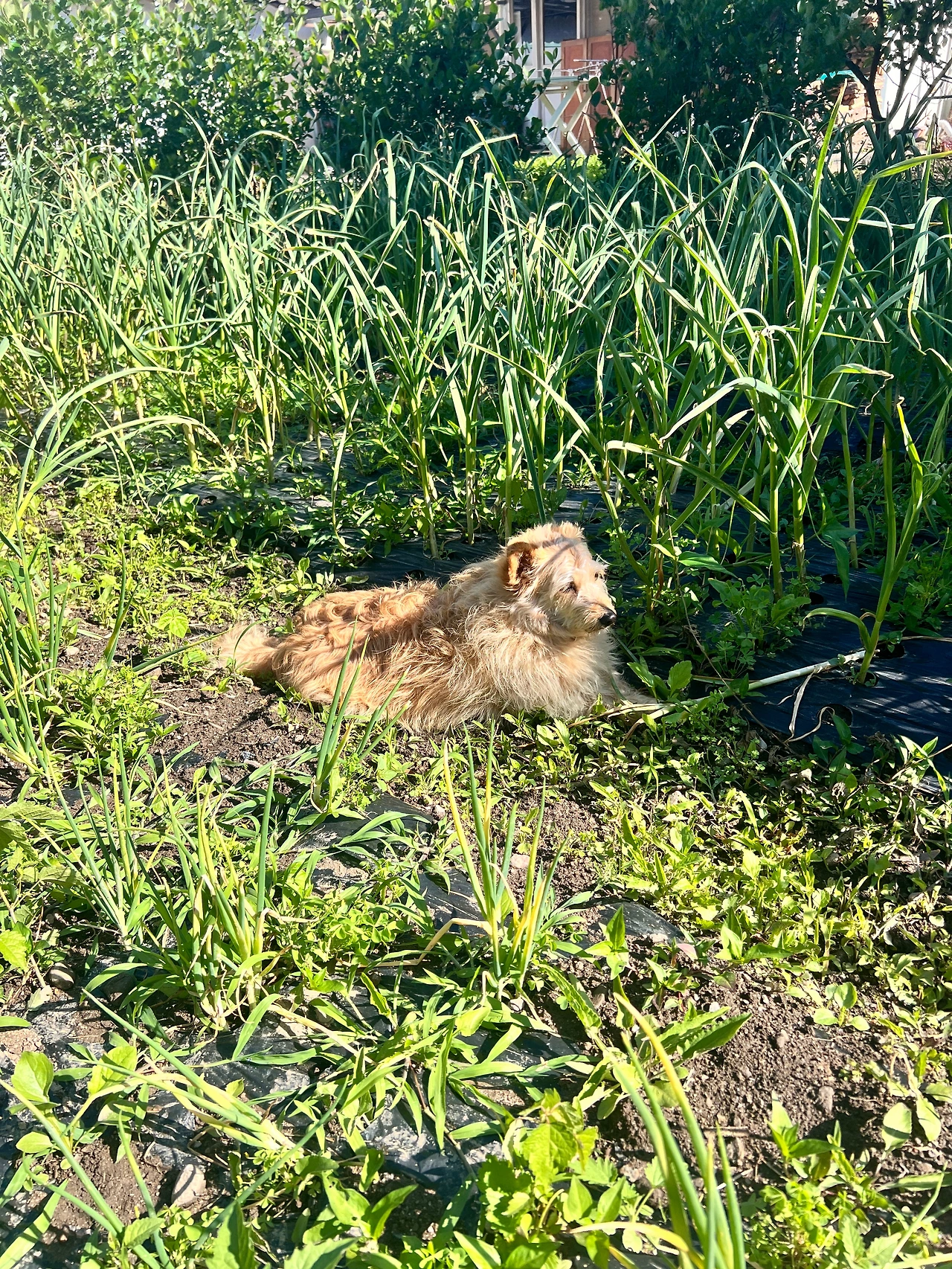 KakaoTalk_Photo_2025-06-30-16-47-53 010.jpeg