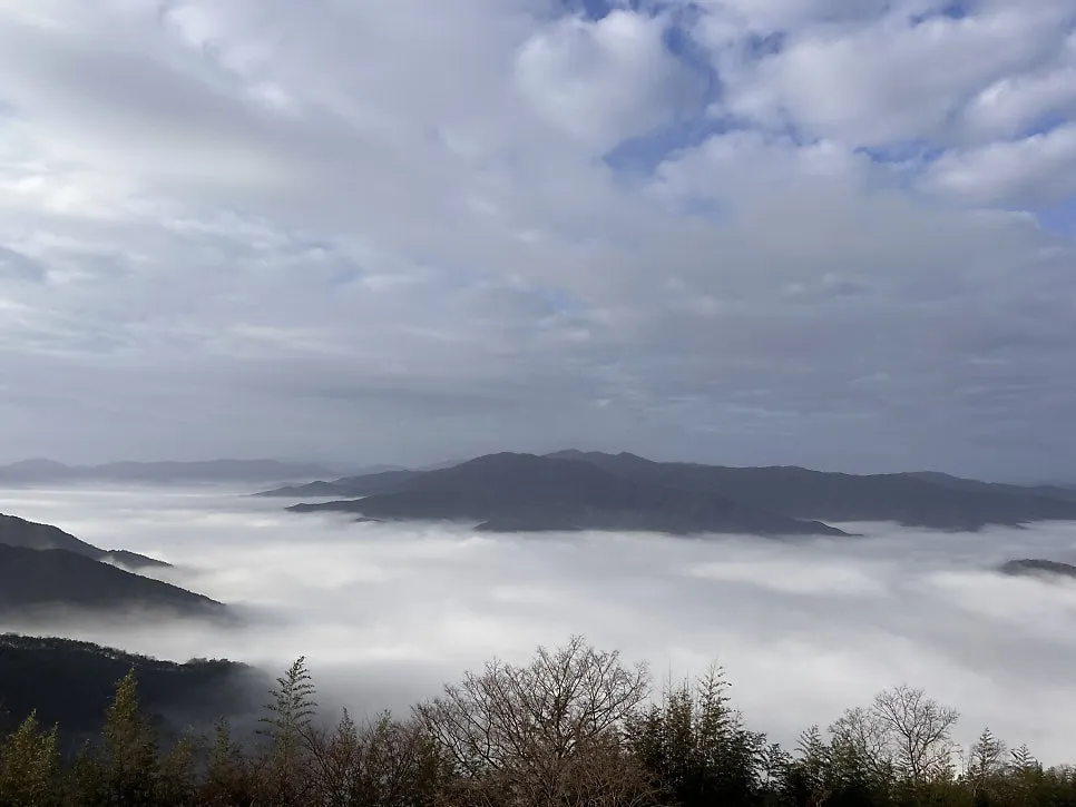 KakaoTalk_Photo_2025-09-22-00-06-01 001.jpeg