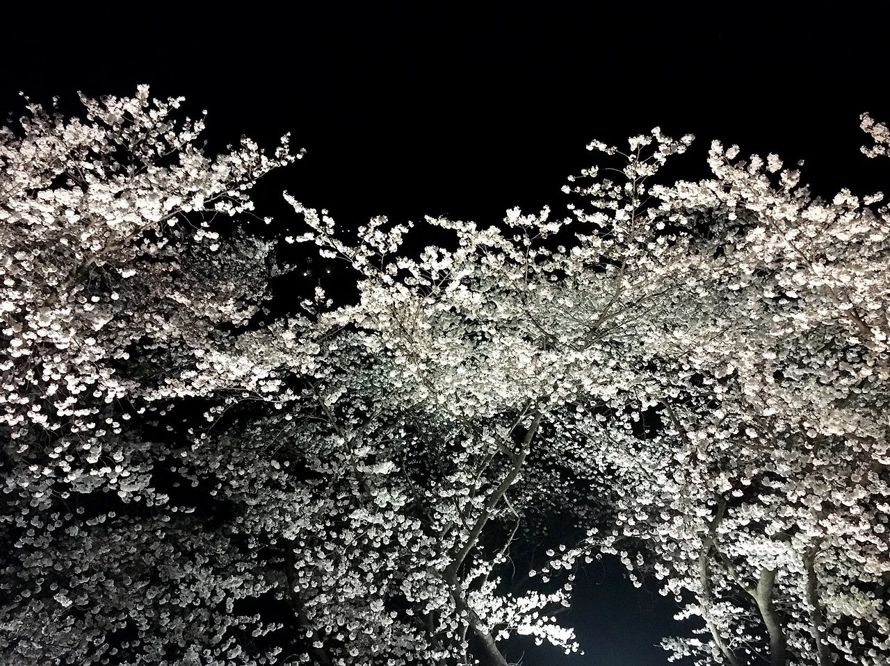 KakaoTalk_Photo_2025-09-21-23-30-55 005.jpeg