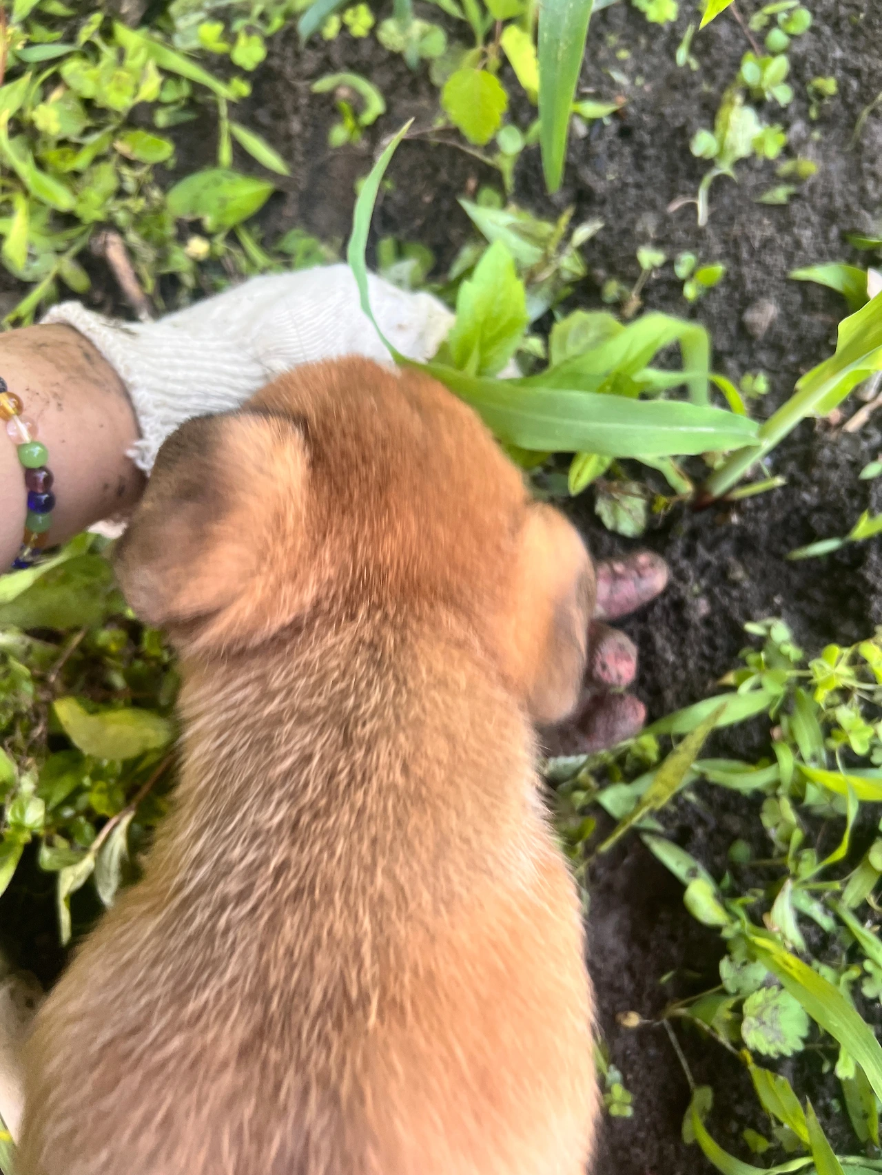 KakaoTalk_Photo_2025-06-30-16-47-49 001.jpeg