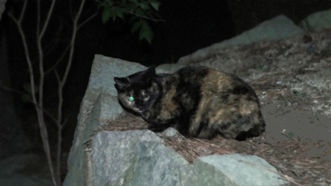 다운로드 (3).jpeg