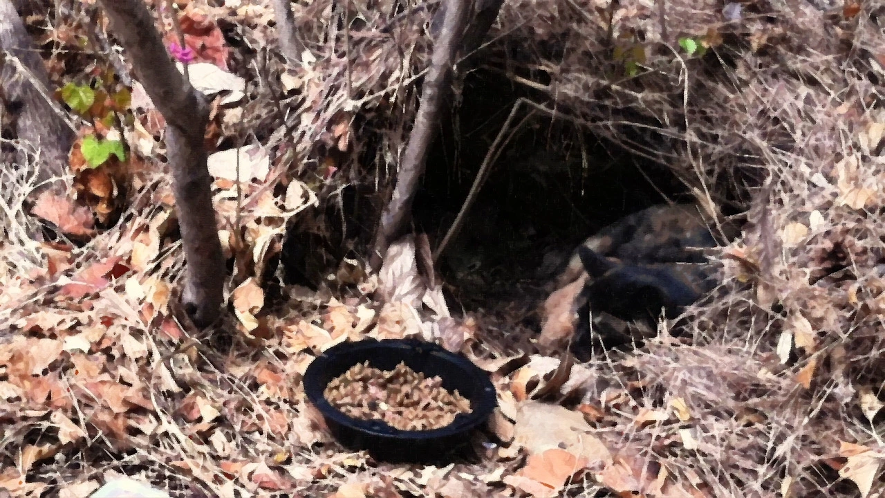 다운로드 (4).jpeg