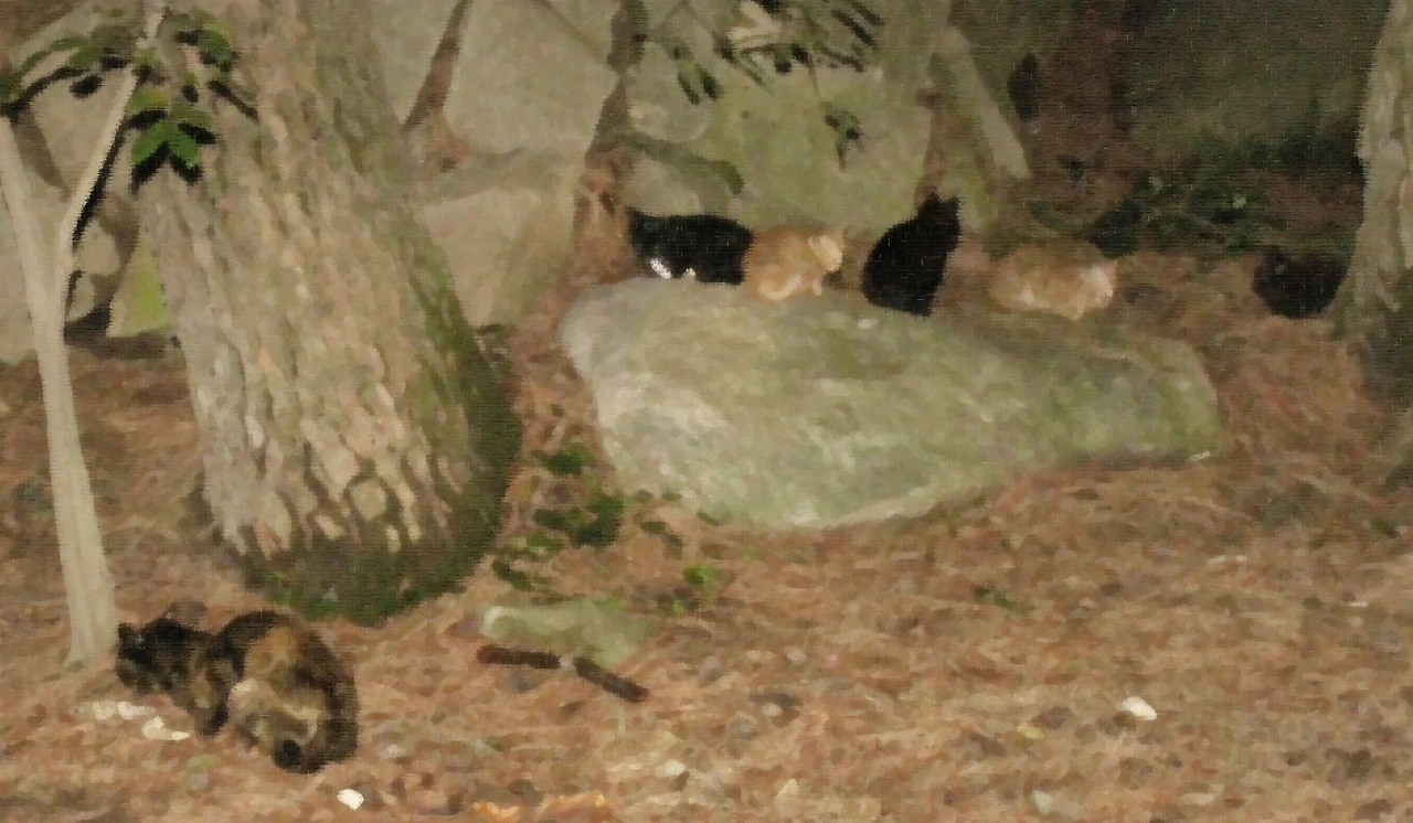 다운로드 (6).jpeg