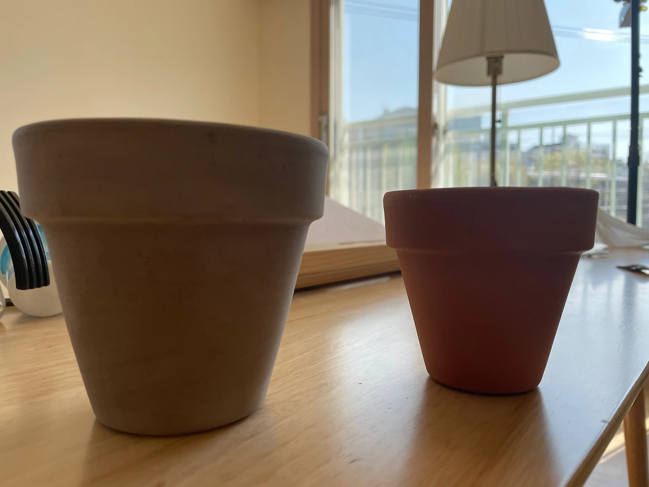 6 내 마음에 드는 화분 두 개를 구매했다.jpeg