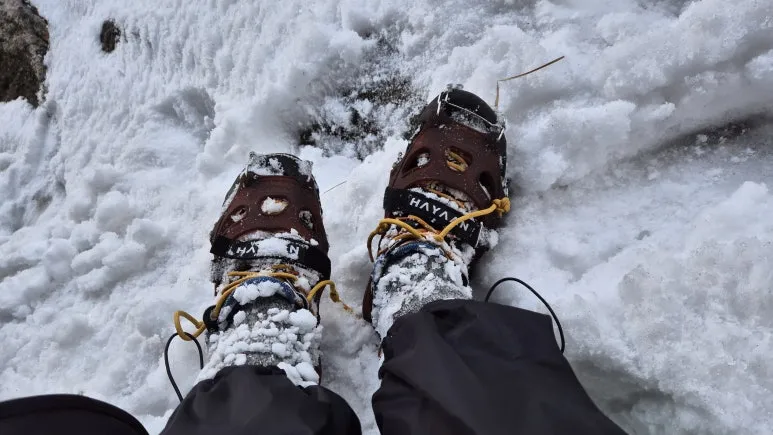 20250319_161619.jpg?type=w773