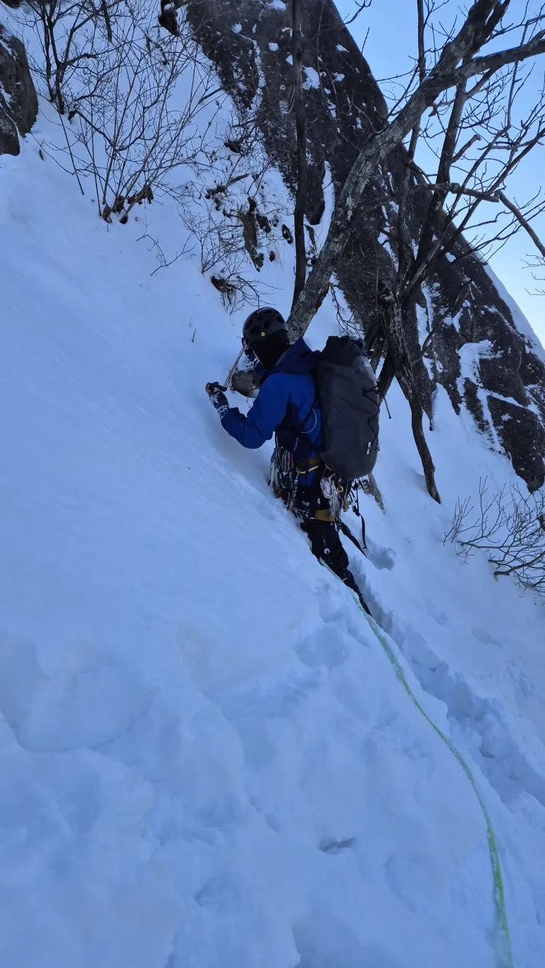 20250319_151804.jpg?type=w773