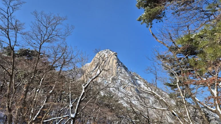 20250319_094351.jpg?type=w773