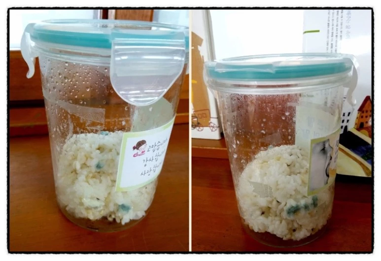 image_6551247751511296654085.jpg?type=w773