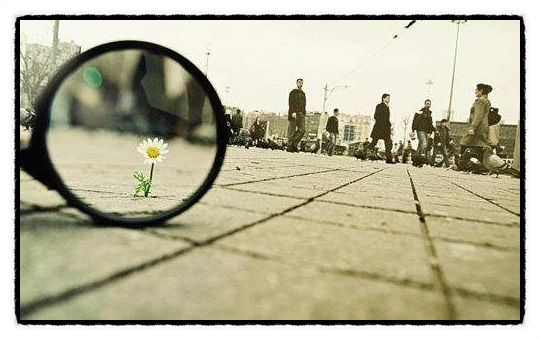 image_4846419871505765520853.jpg?type=w773