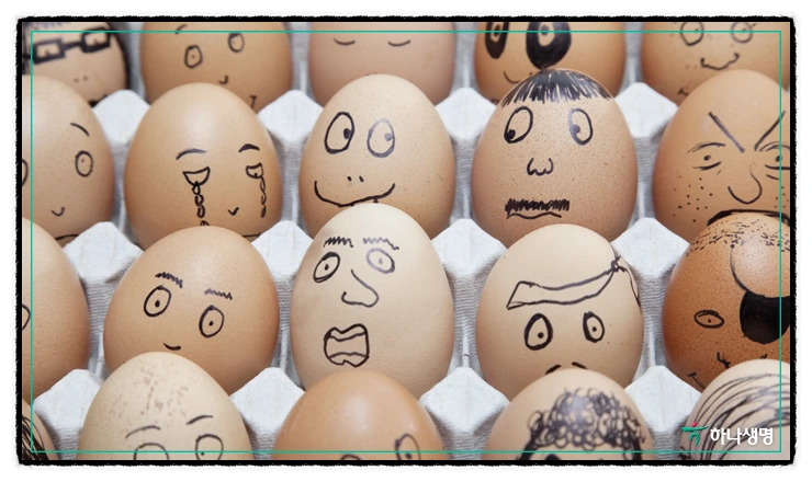 image_6238581891509393018757.png?type=w773