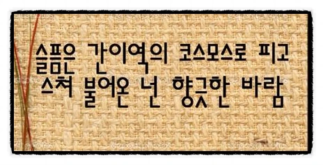 image_9160102071511898899520.jpg?type=w773