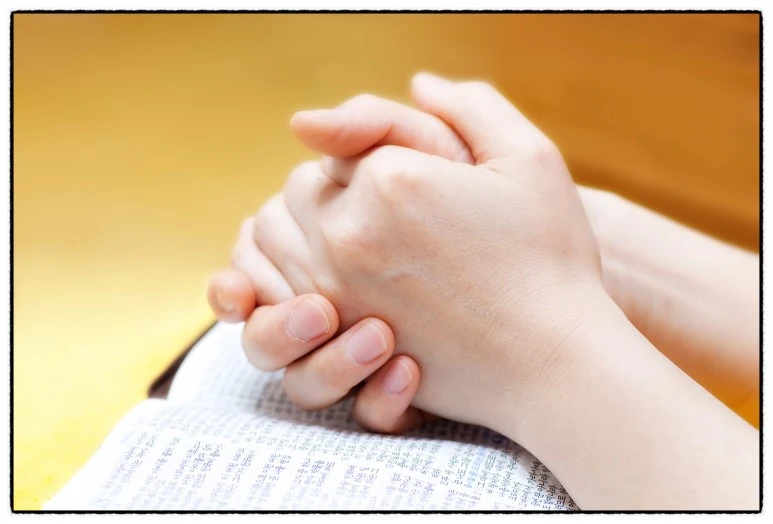 image_486900221512077486556.jpg?type=w773