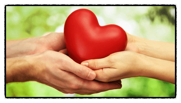 image_6159576981515794437936.png?type=w773