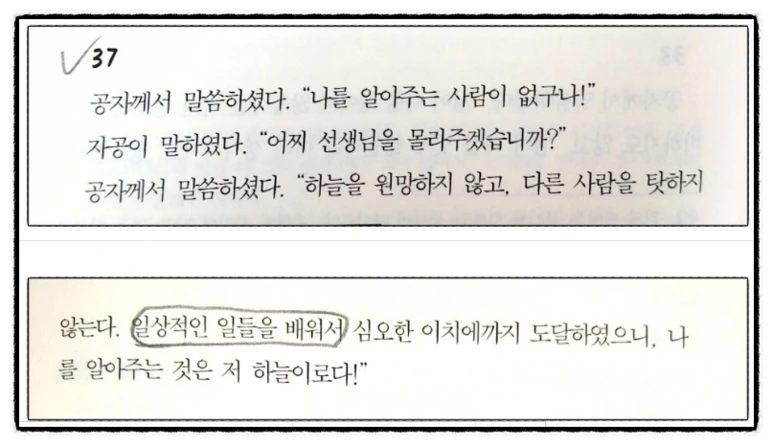 image_6042955571511040759277.png?type=w773