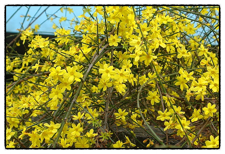 image_874460261510776401635.jpg?type=w773