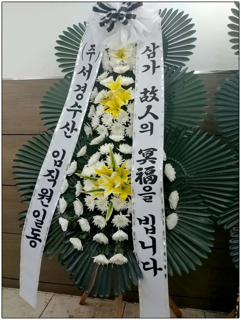 image_1258718951524522966150.jpg?type=w773