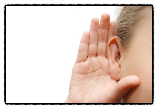 image_4856099321513979452478.jpg?type=w773