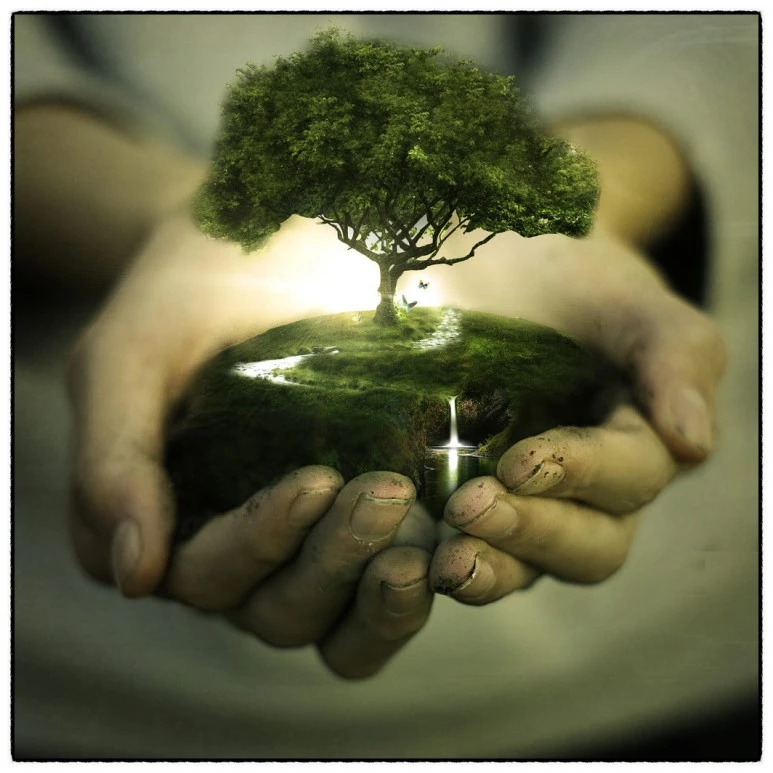 image_7991971111516739476170.jpg?type=w773