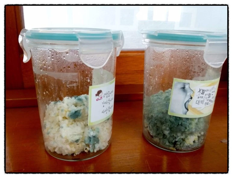 image_8232405421511296654085.jpg?type=w773