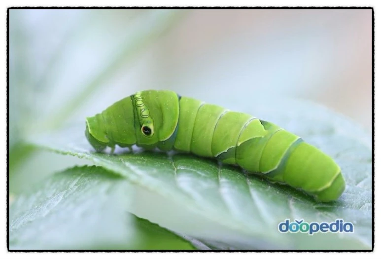 image_2117141421510087069207.jpg?type=w773