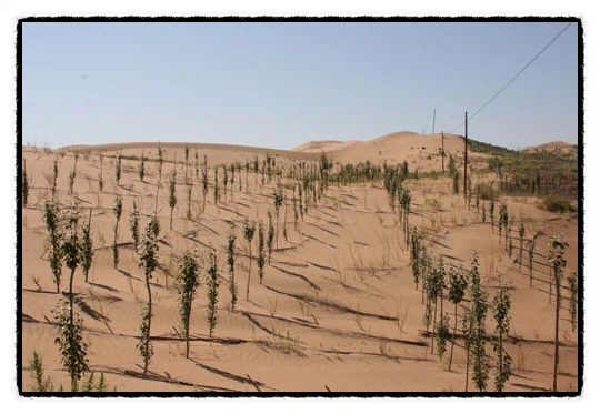 image_4731677341505419992246.jpg?type=w773