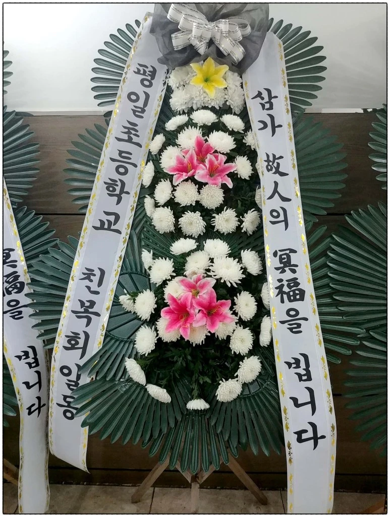 image_4626830411524522966152.jpg?type=w773