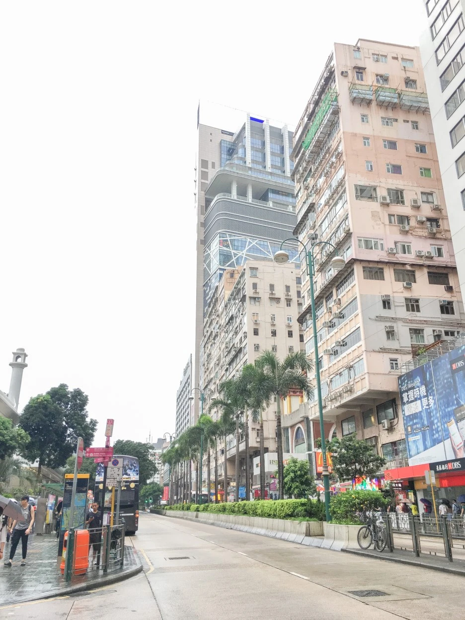 IMG_8257.JPG?type=w1