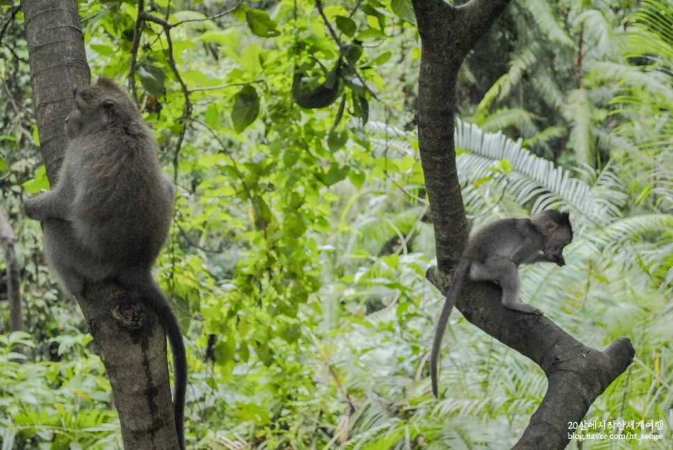 SE-11aecd0e-cb12-44ad-8b77-cedcb1ef0c73.jpg?type=w966