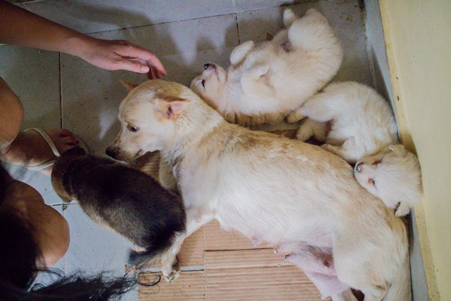 IMG_0009.JPG?type=w966