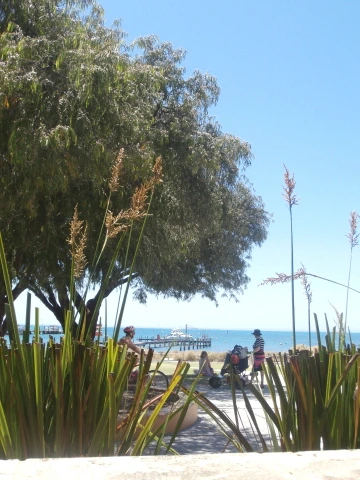 %C5%A9%B1%E2%BA%AF%C8%AF_PB110511.JPG?type=w1